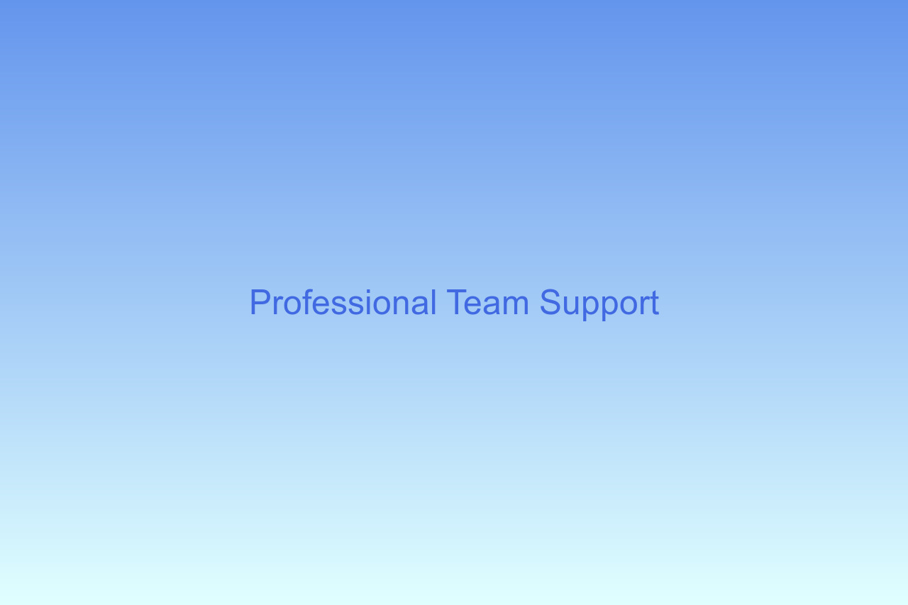 Professional skylight installation team member